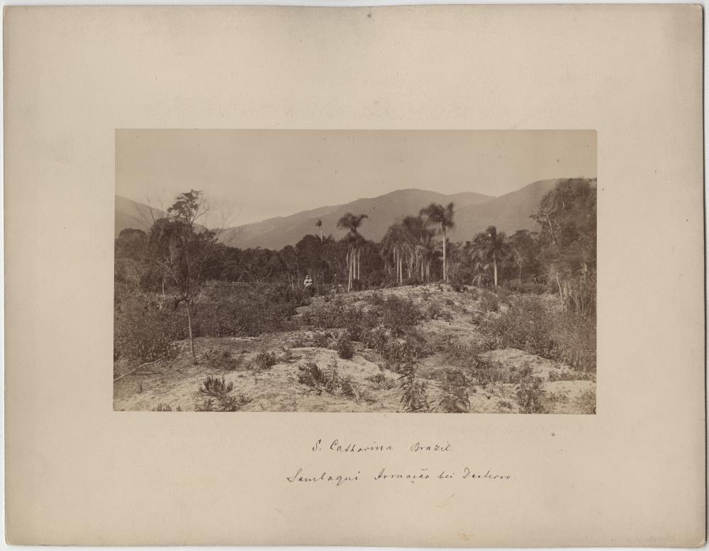 Sambaqui Armacao bei Desterro