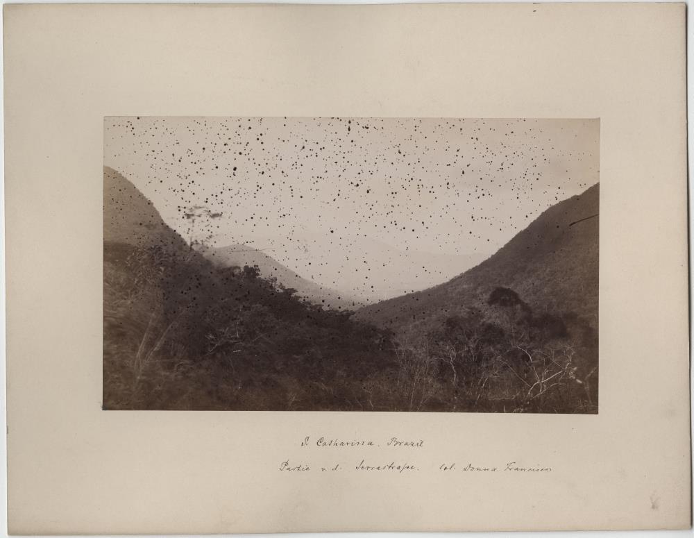 Ansicht: "Partie v. d. von der Sierrastraße. Col. Donna Francisca"