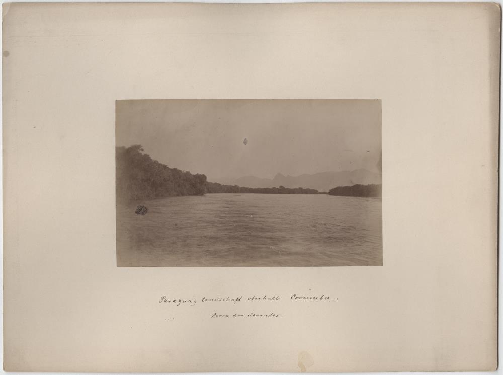 Rio Paraguay Landschaft oberhalb Corumba