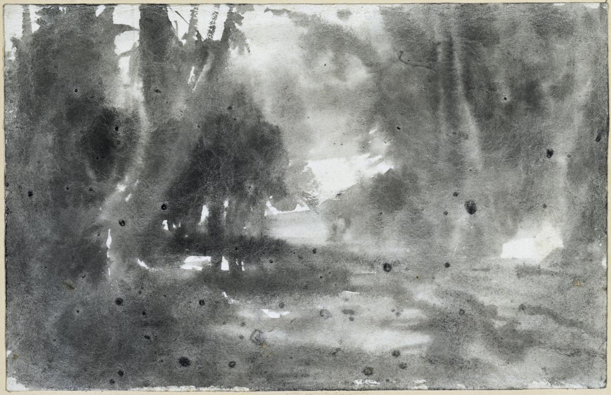 Waldinneres mit Lichtung
