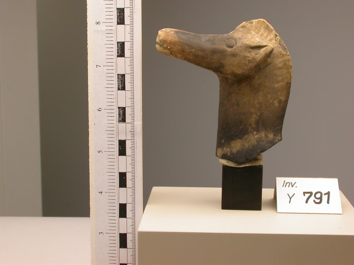 Kopf und Hals eines Pferdes mit Spuren von Bemalung