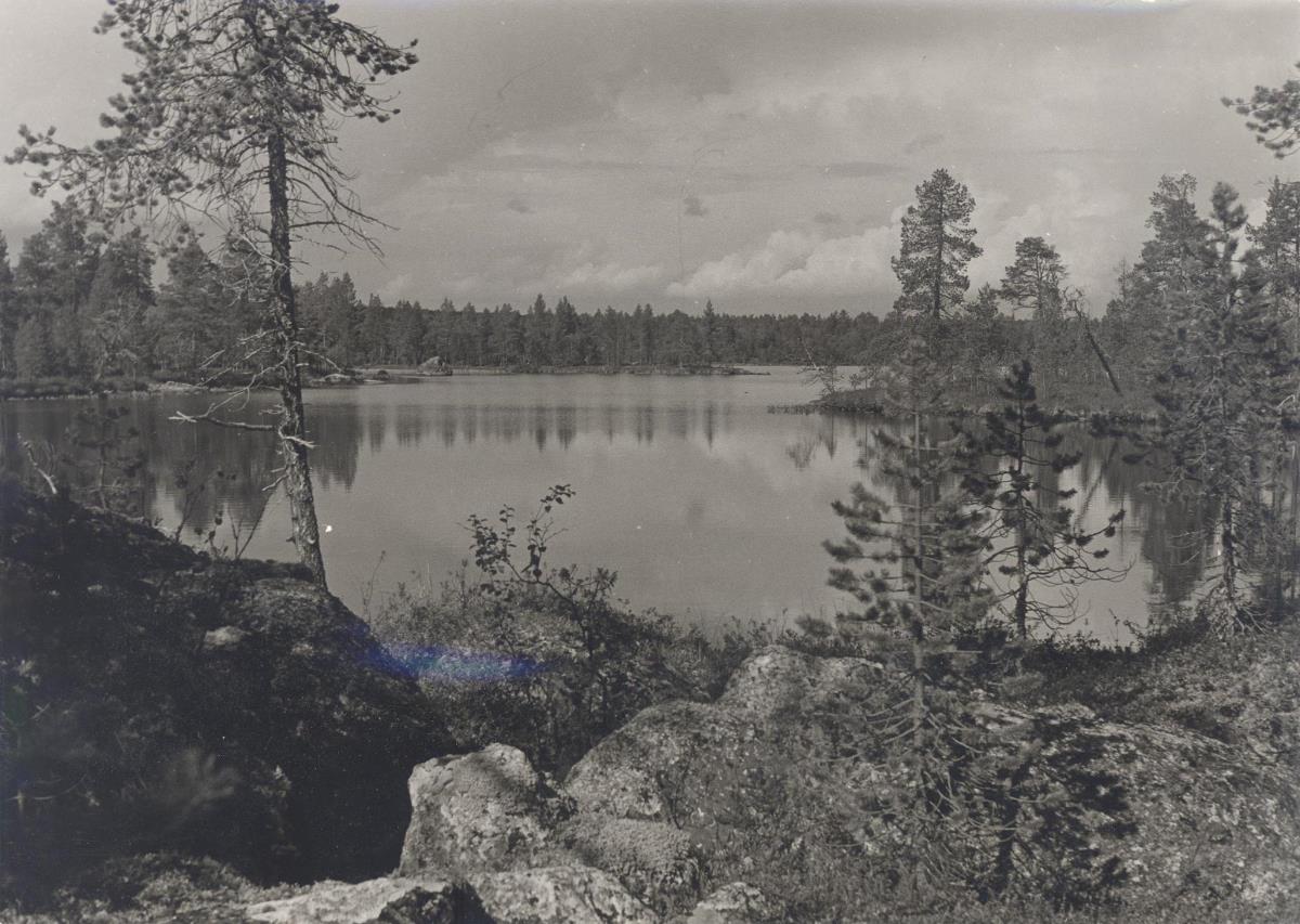 Vuontisjärvi