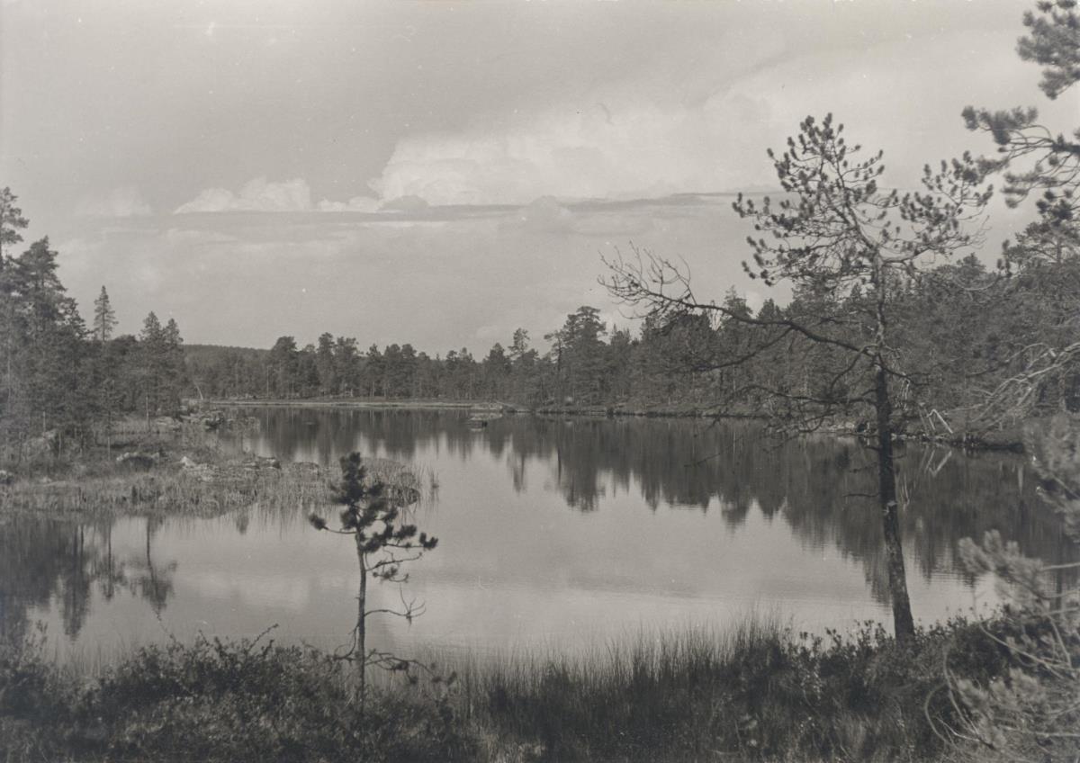 Pielpajärvi