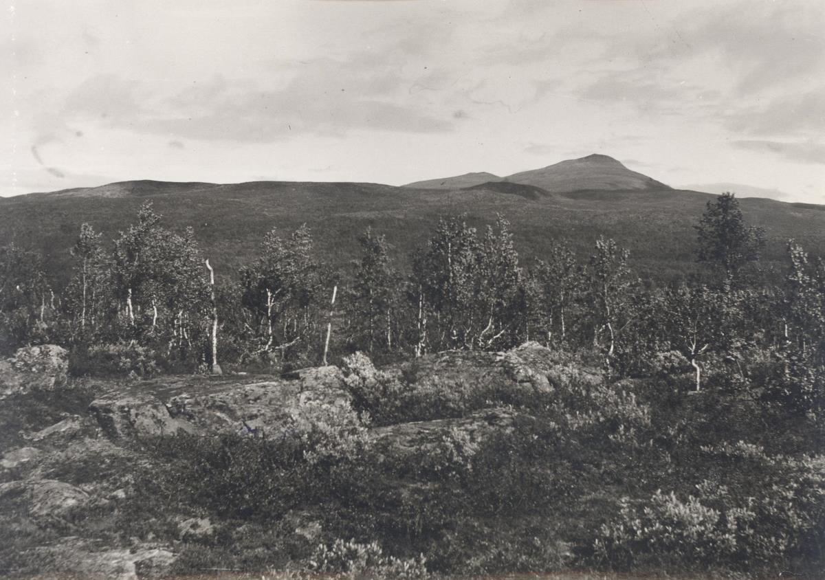 Pieljekaise Nationalpark