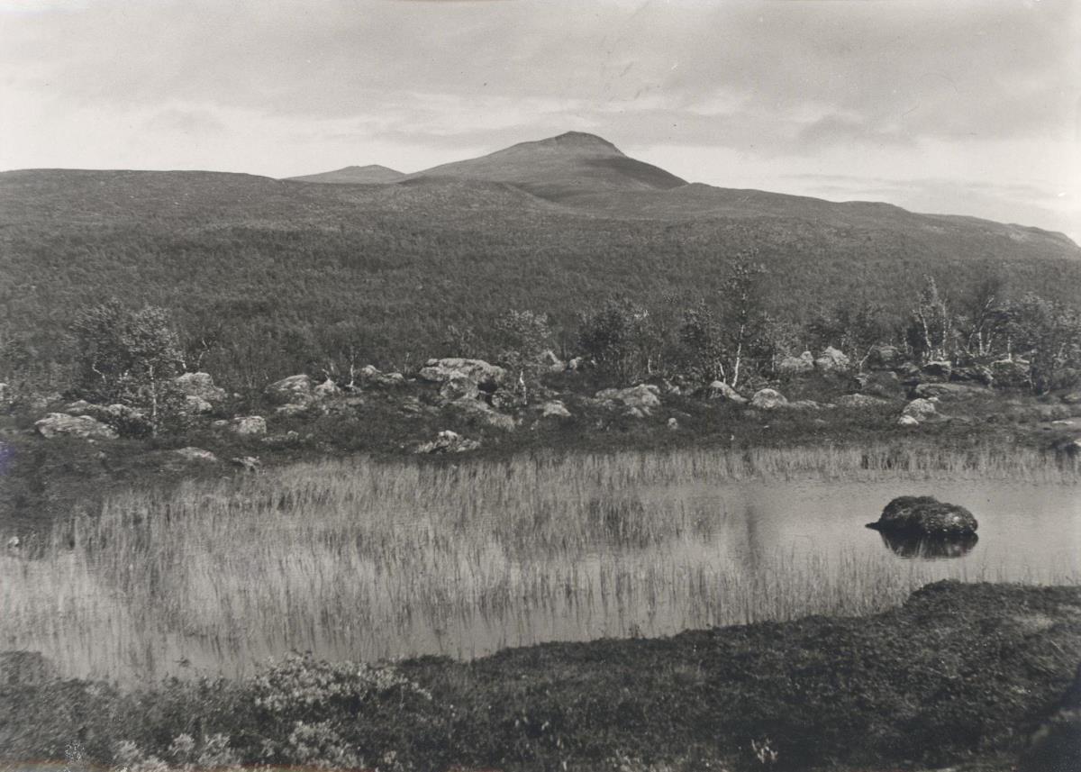 Pieljekaise Nationalpark