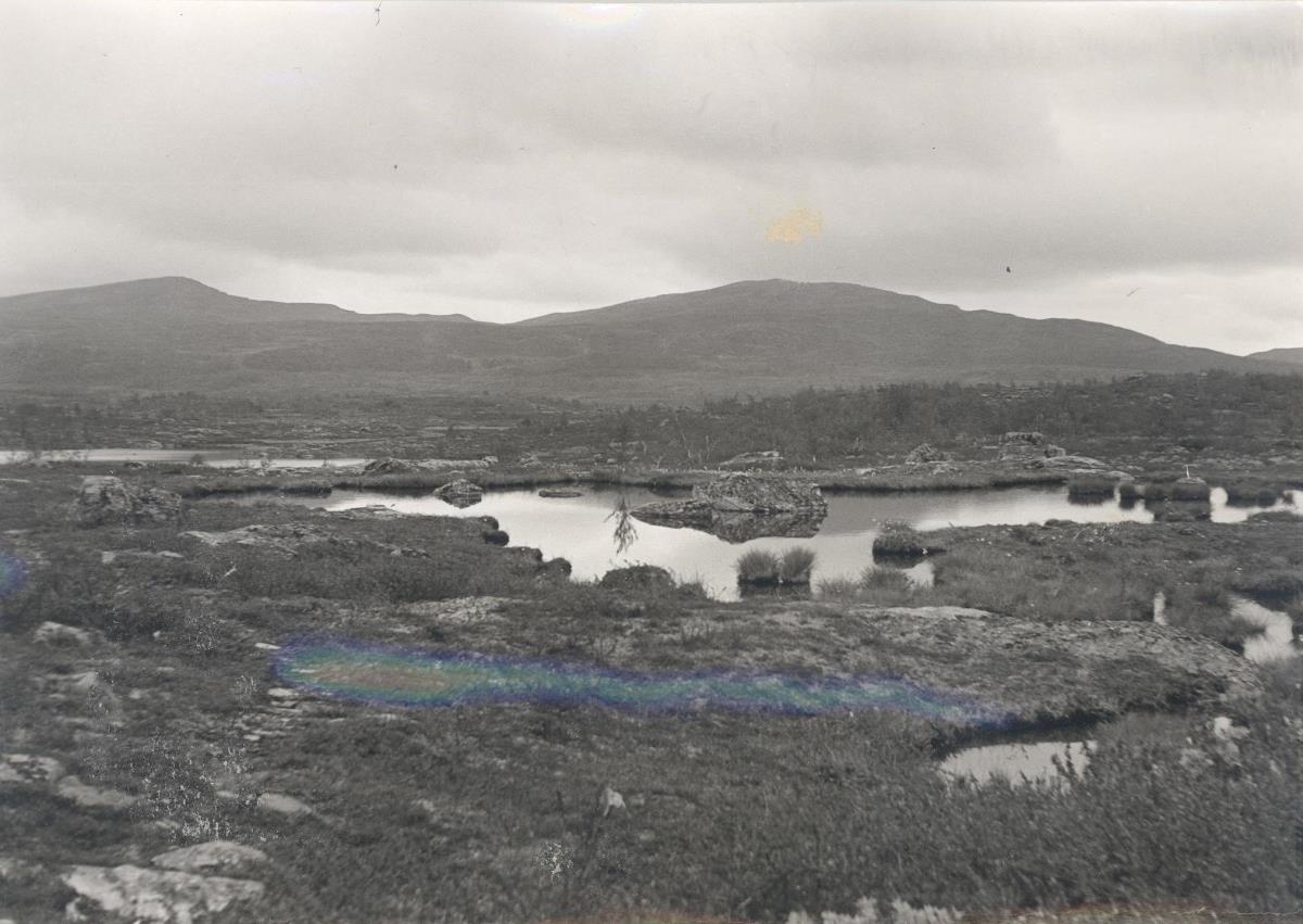 Moorlandschaft am Badasjokk