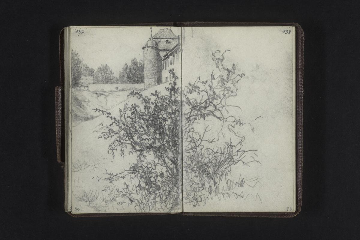 Schloss mit Rundturm, davor der Wehrgraben, im Vordergrund ein Strauch