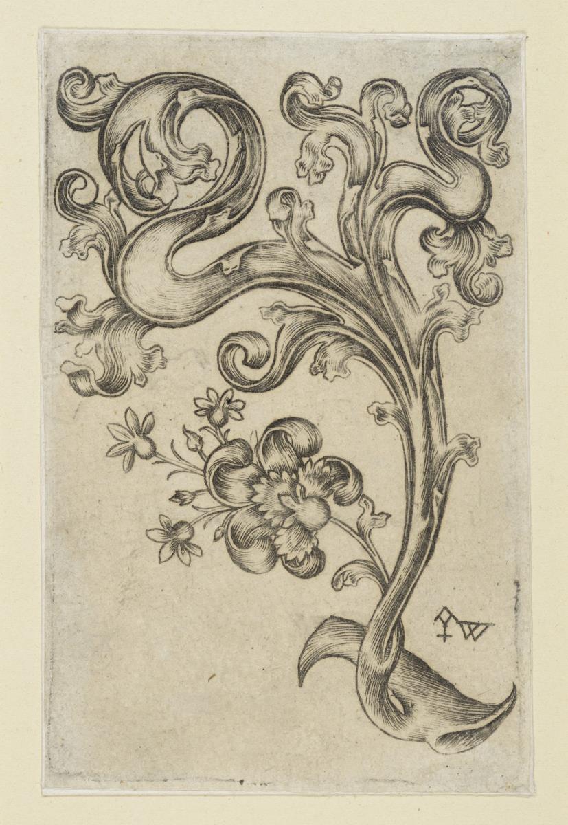 Krabbe mit Phantasieblüte