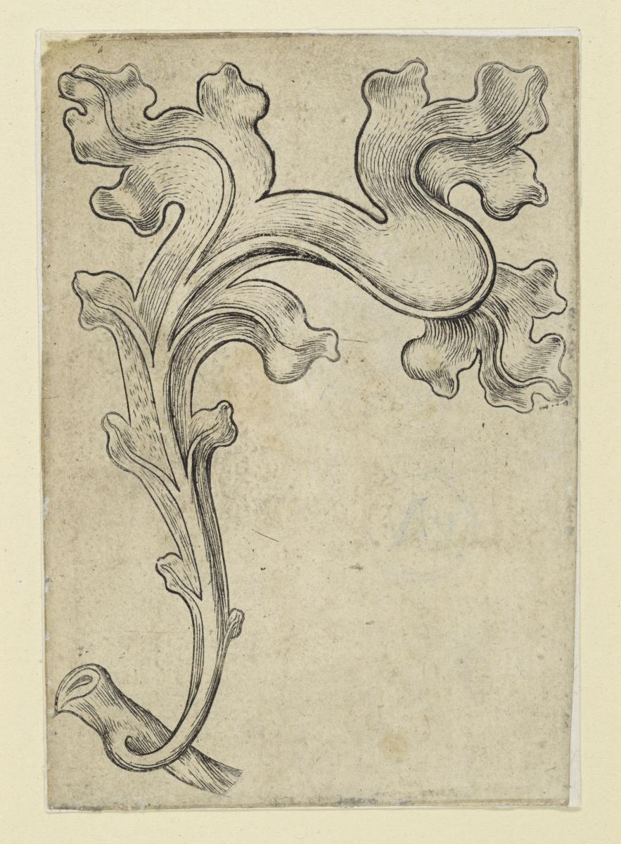 Diverse Ornamentblätter: Blatt 5: Krabbe