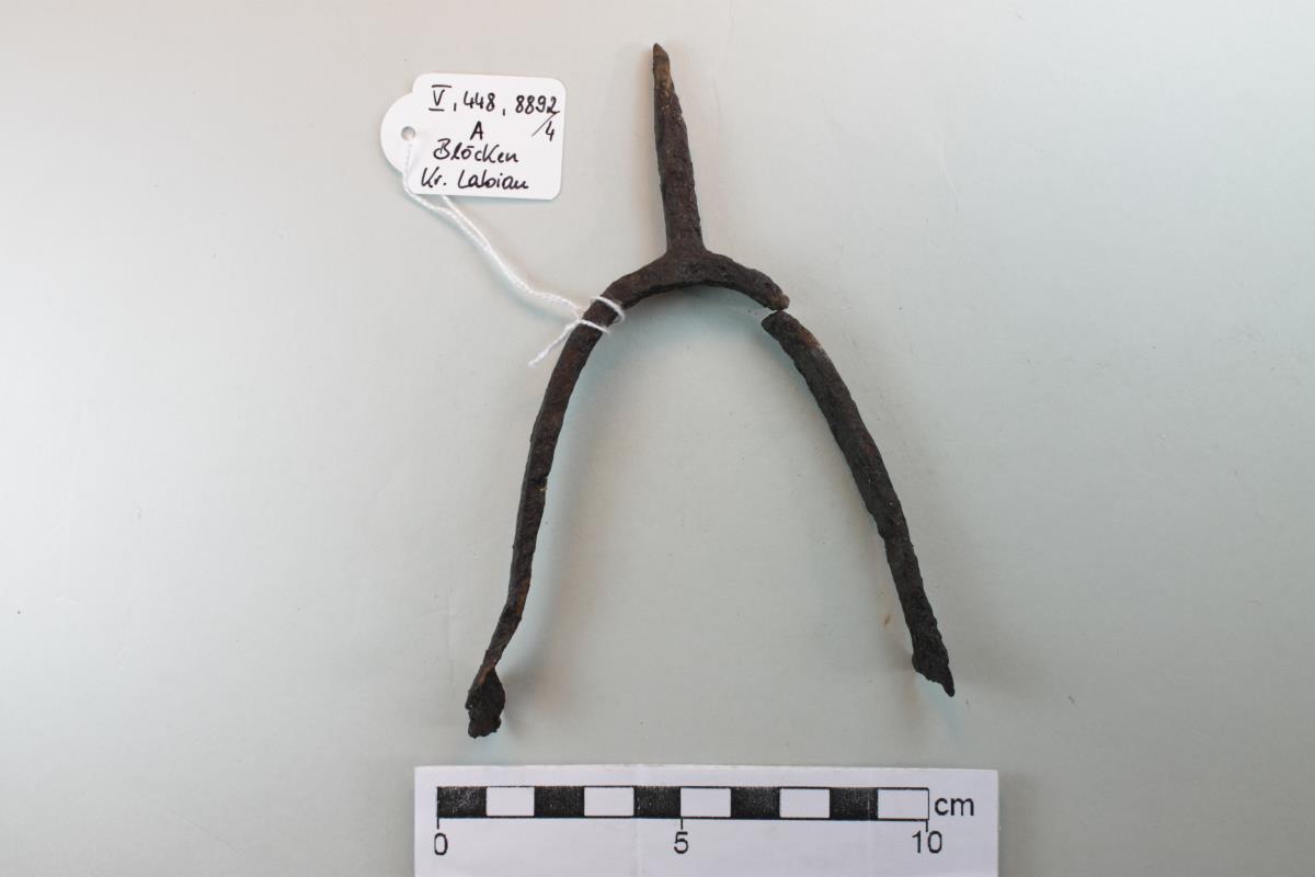 Stachelsporn