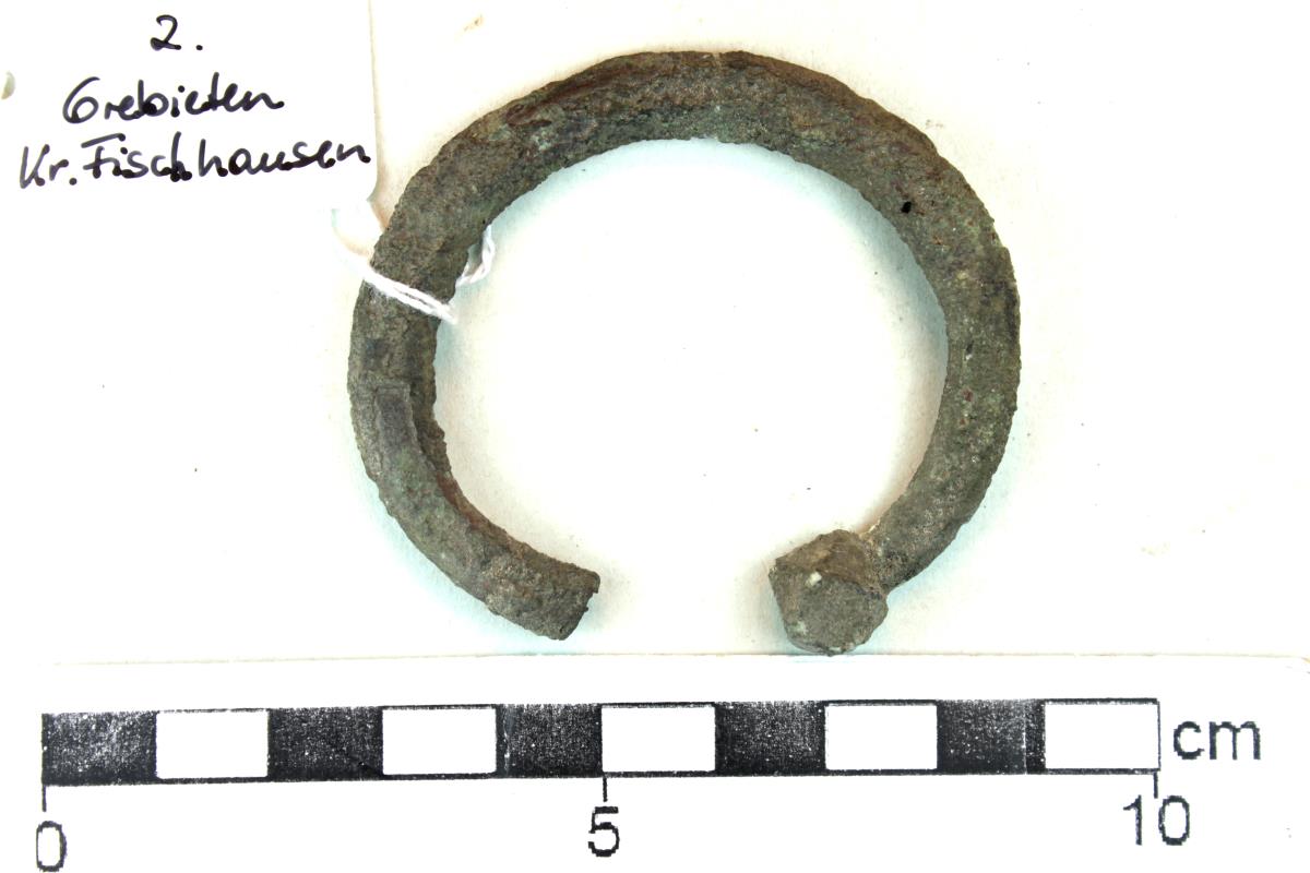 Hufeisenfibel