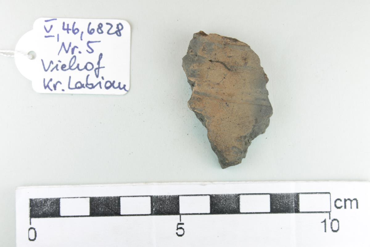 Gefäßfragment