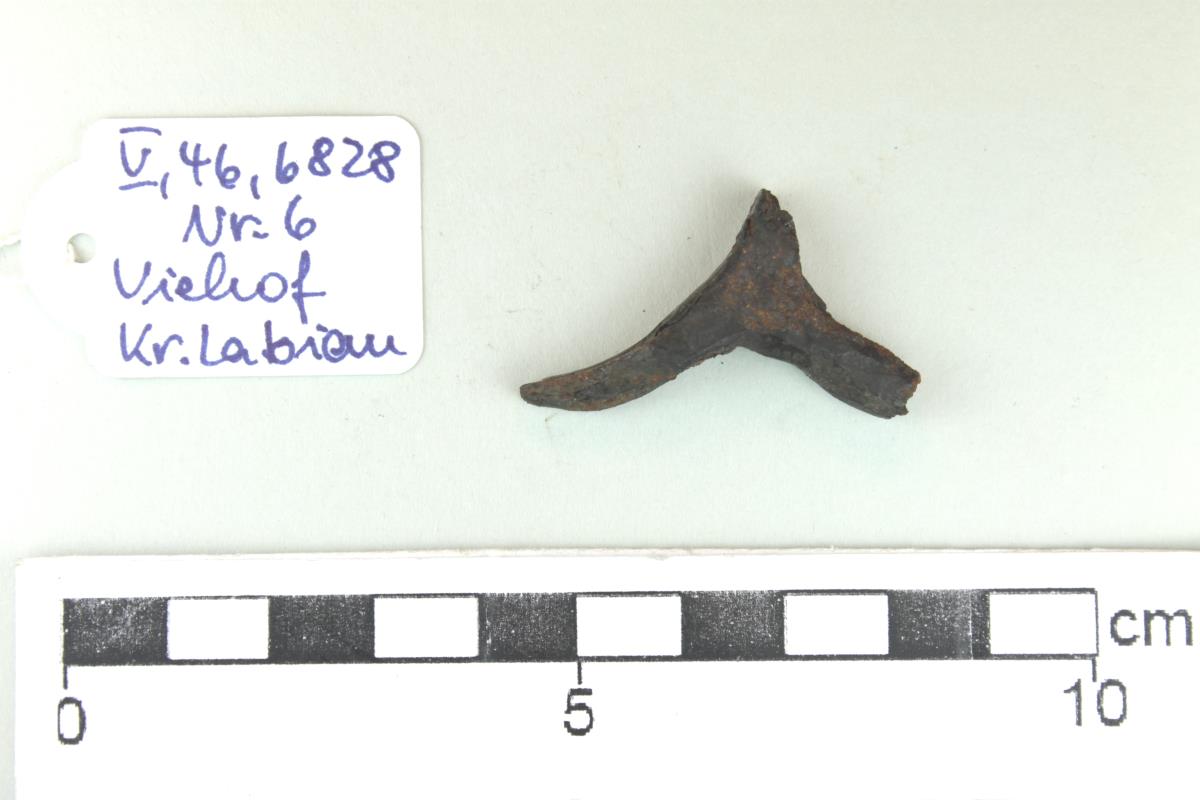 Stachelspornfragment