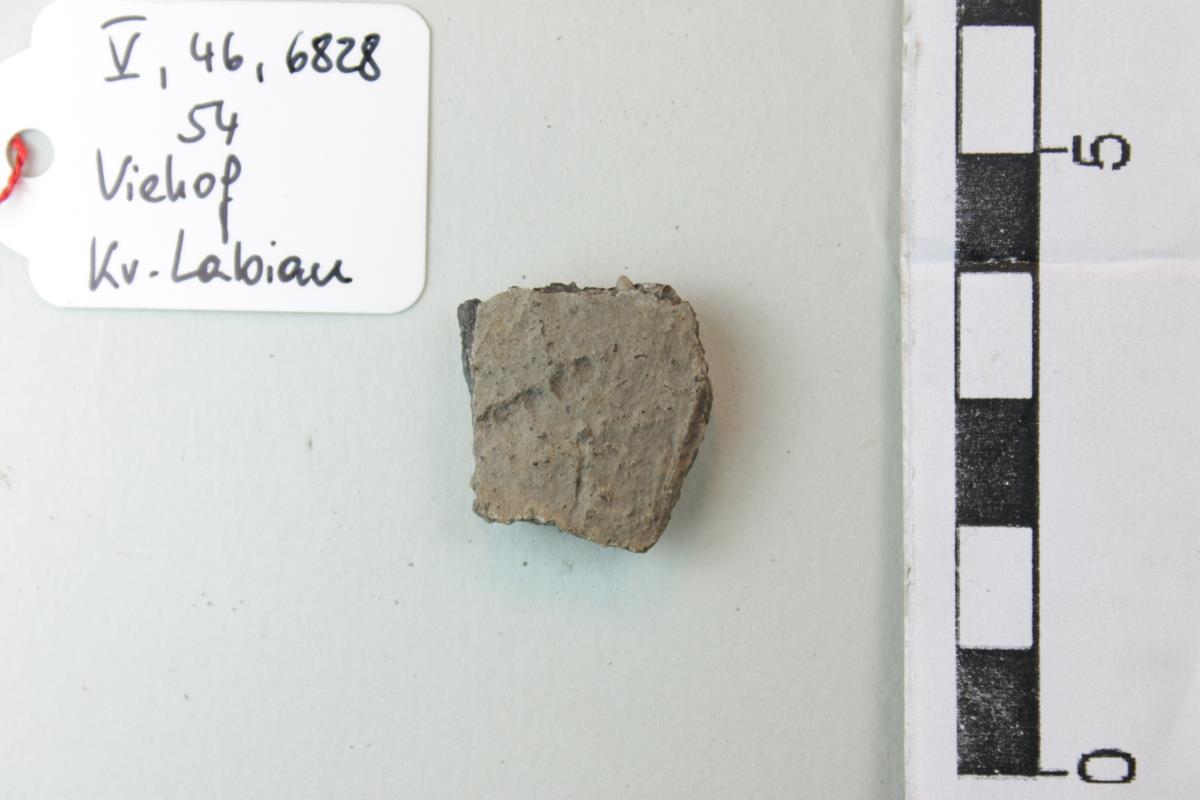 Gefäßfragment
