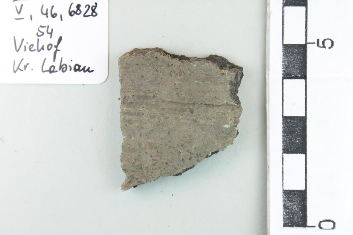 Gefäßfragment