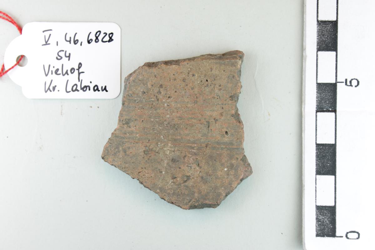 Gefäßfragment