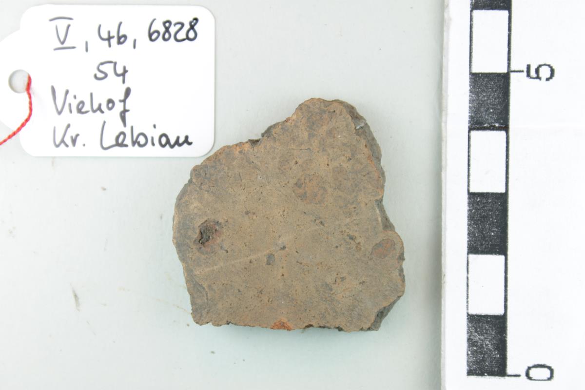 Gefäßfragment