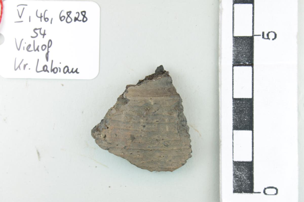 Gefäßfragment