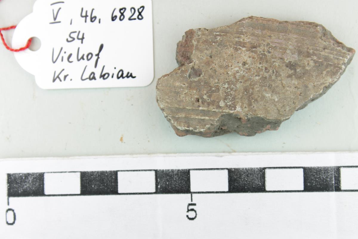 Gefäßfragment