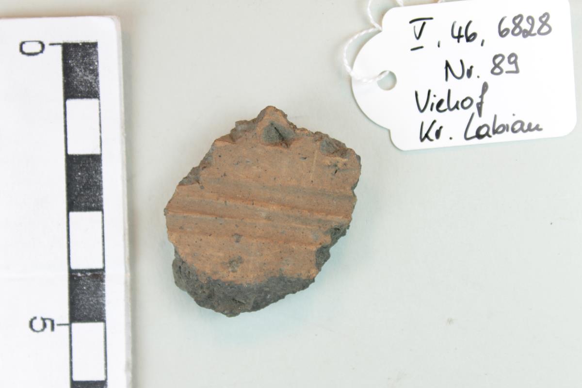 Gefäßfragment