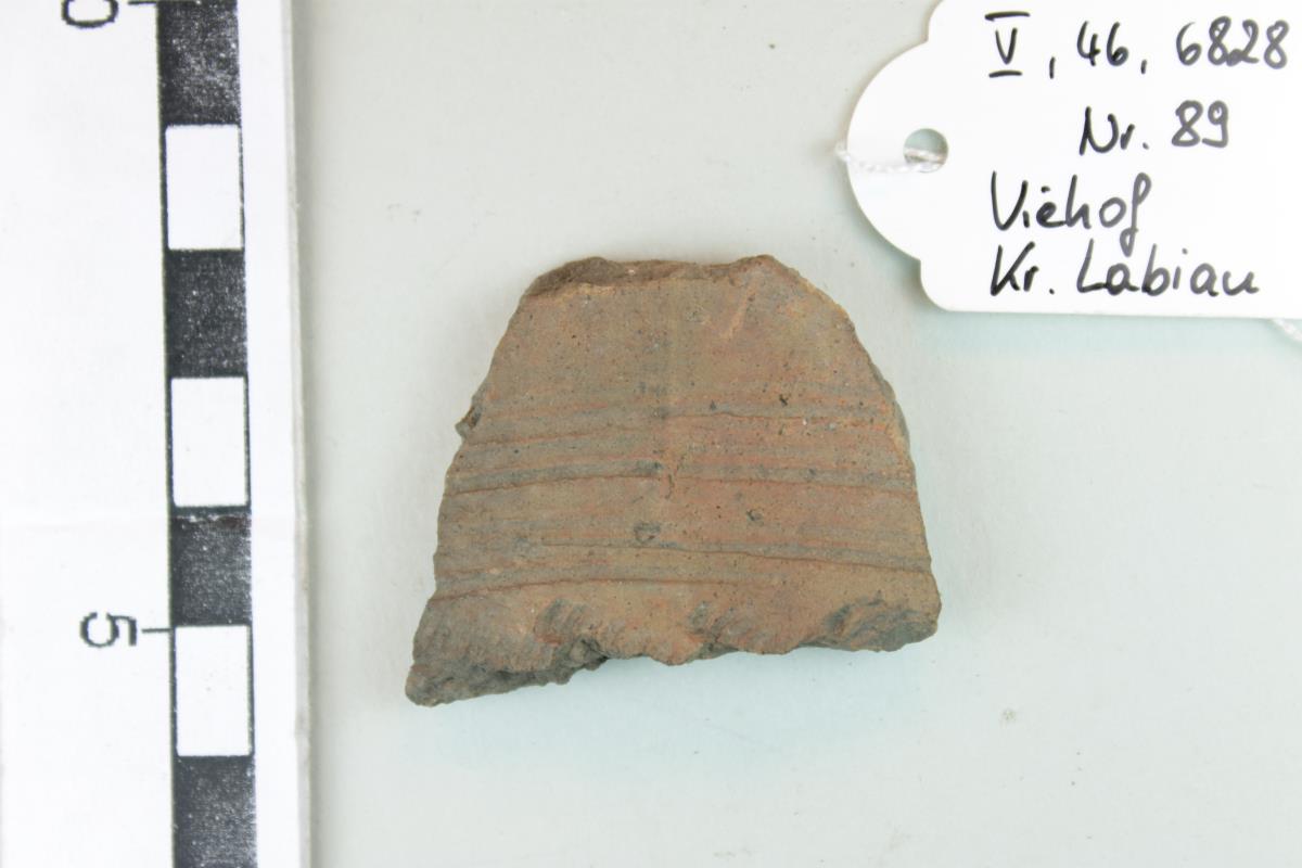 Gefäßfragment