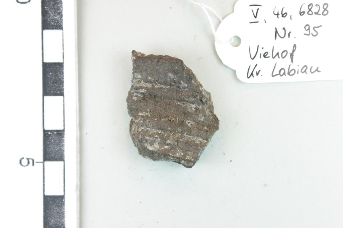 Gefäßfragment