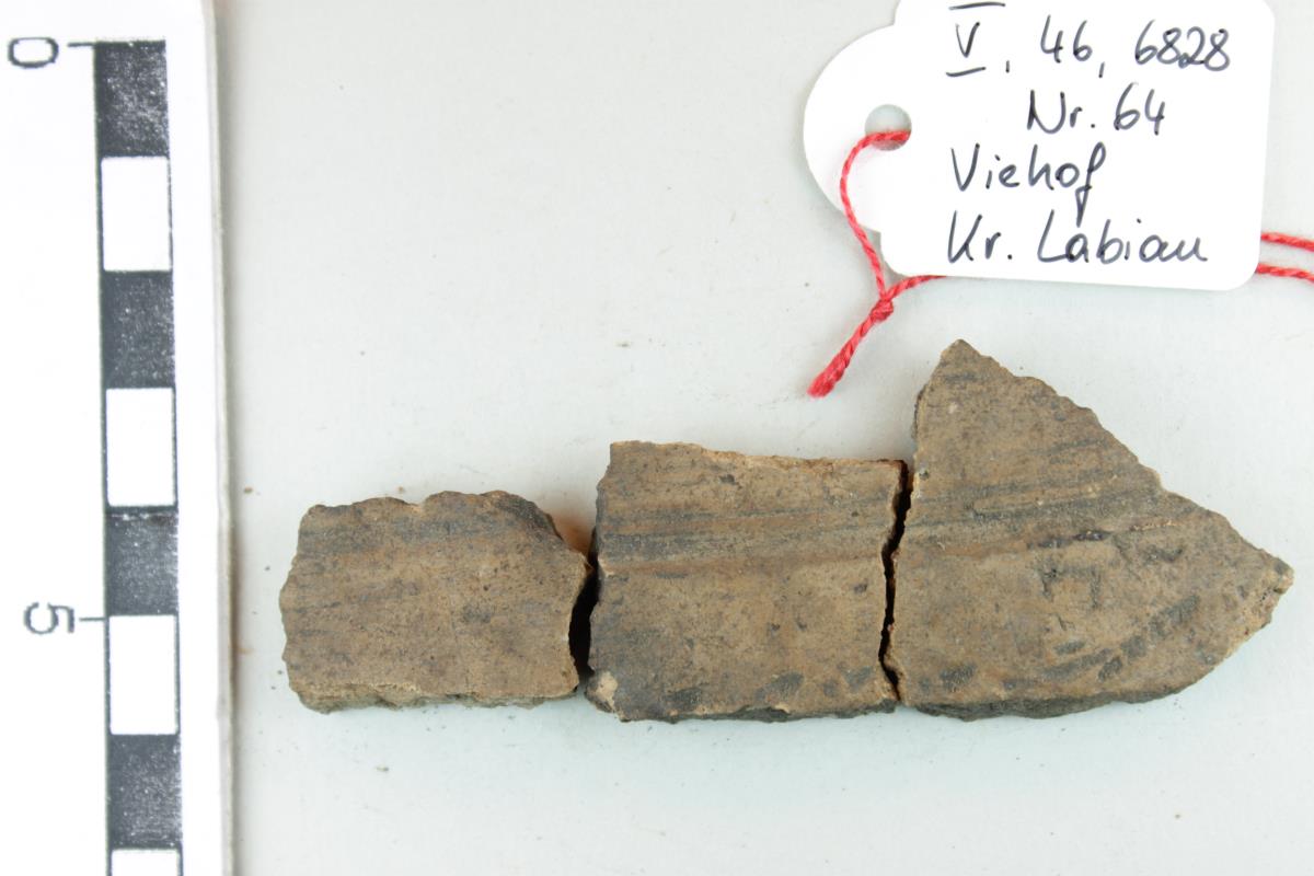 Gefäßfragment