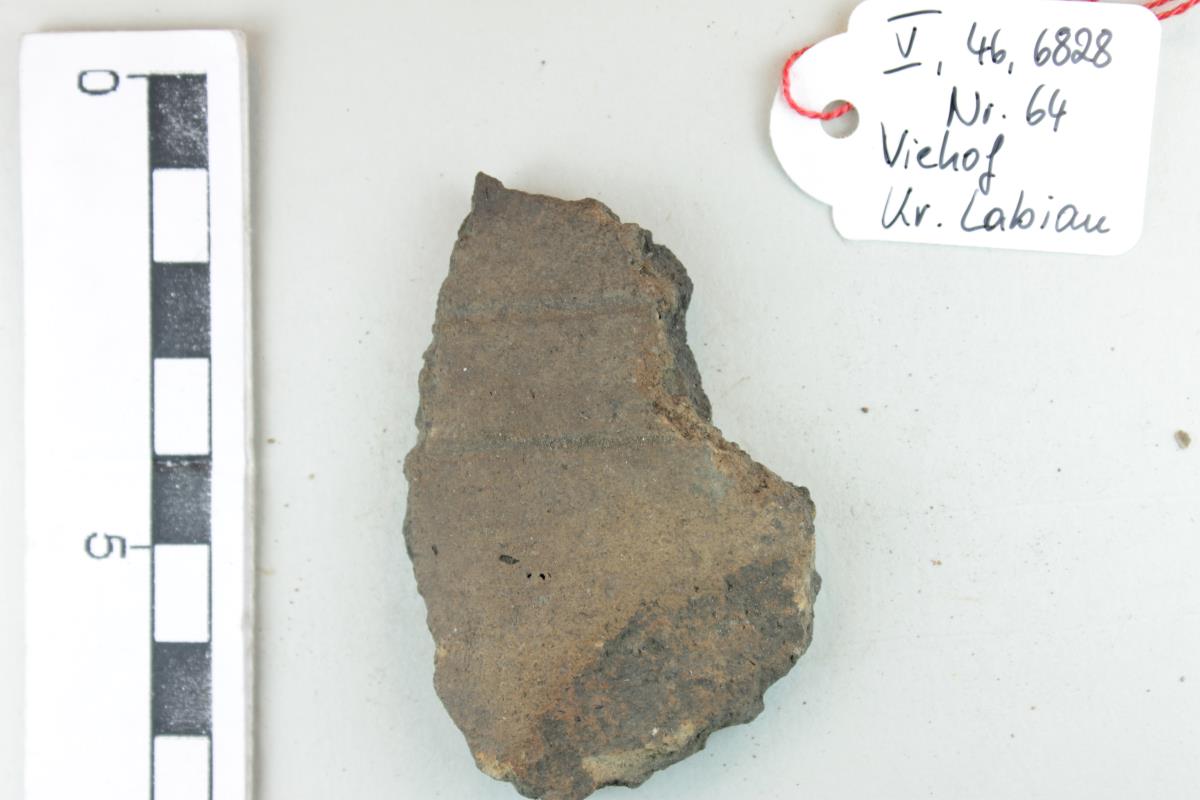 Gefäßfragment