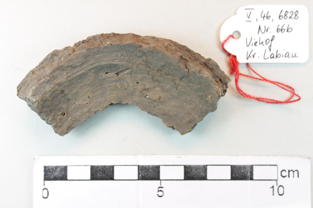 Gefäßfragment