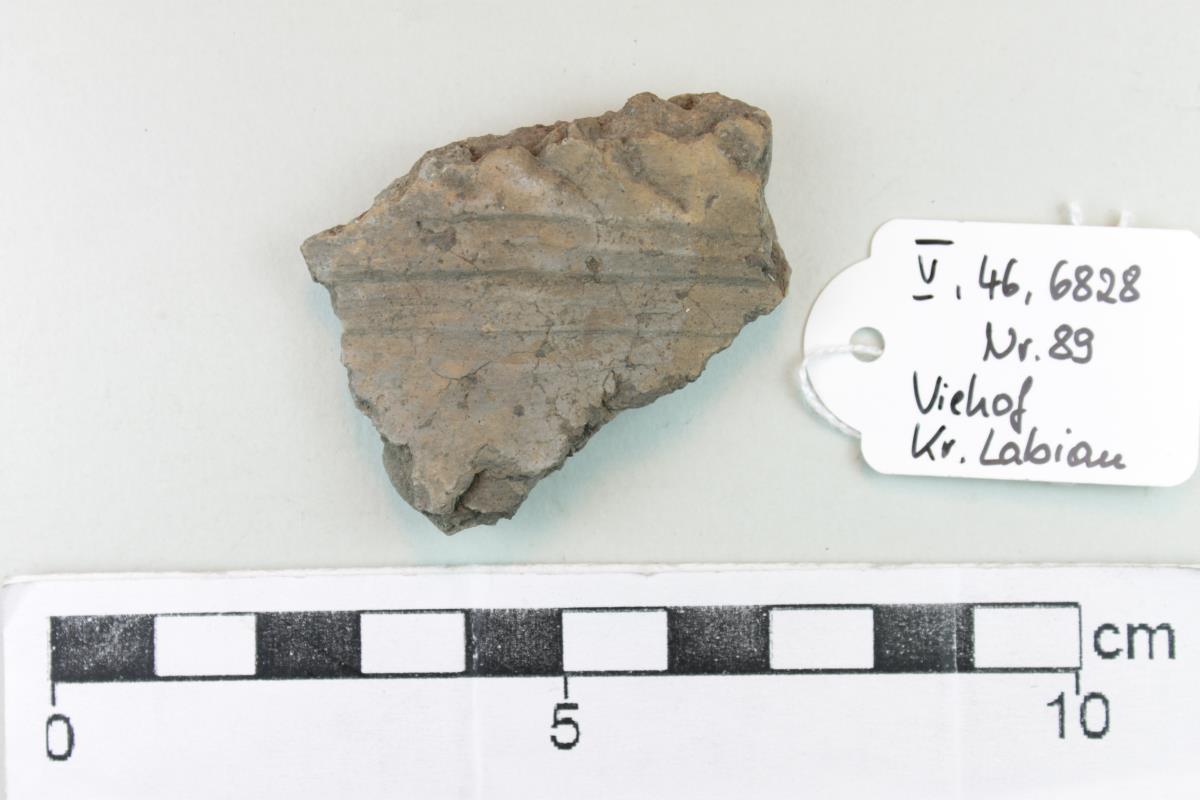 Gefäßfragment