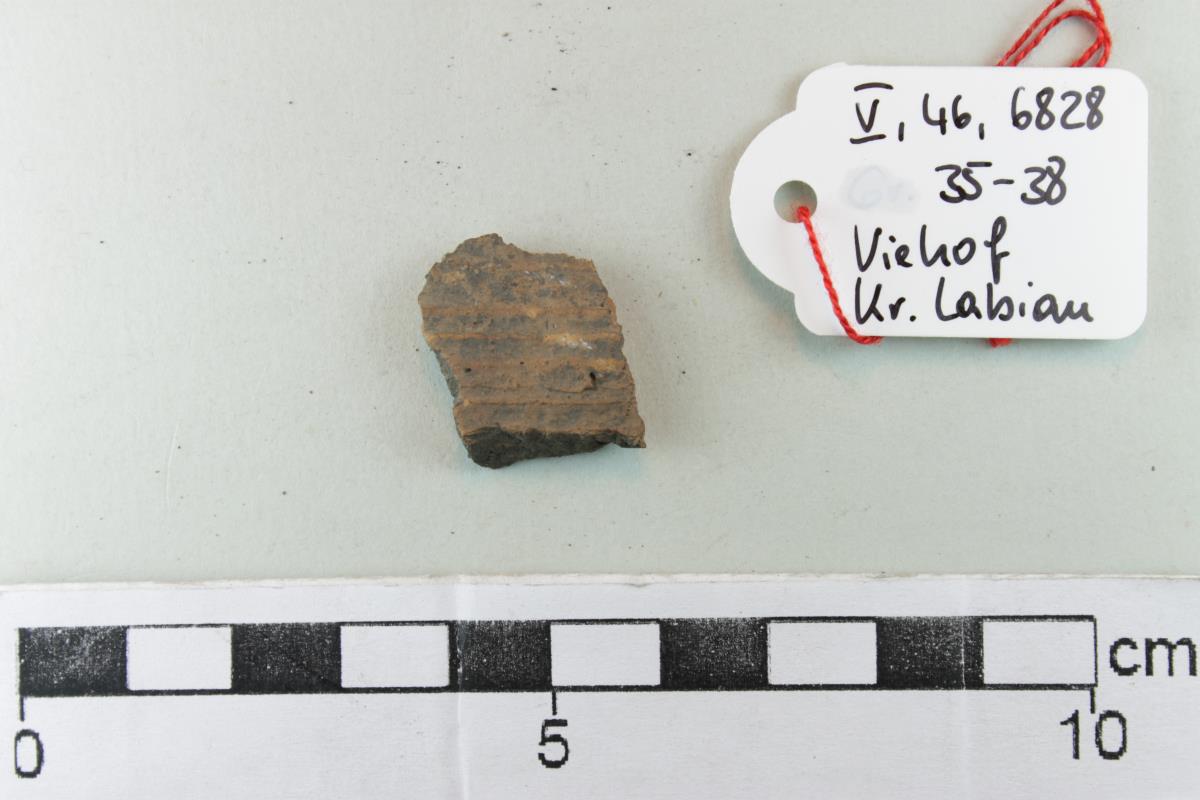 Gefäßfragment