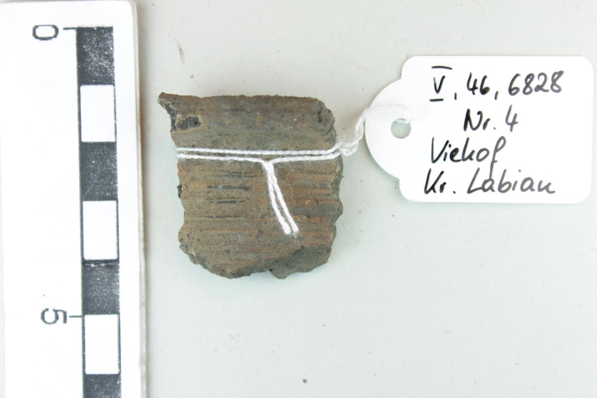 Gefäßfragment