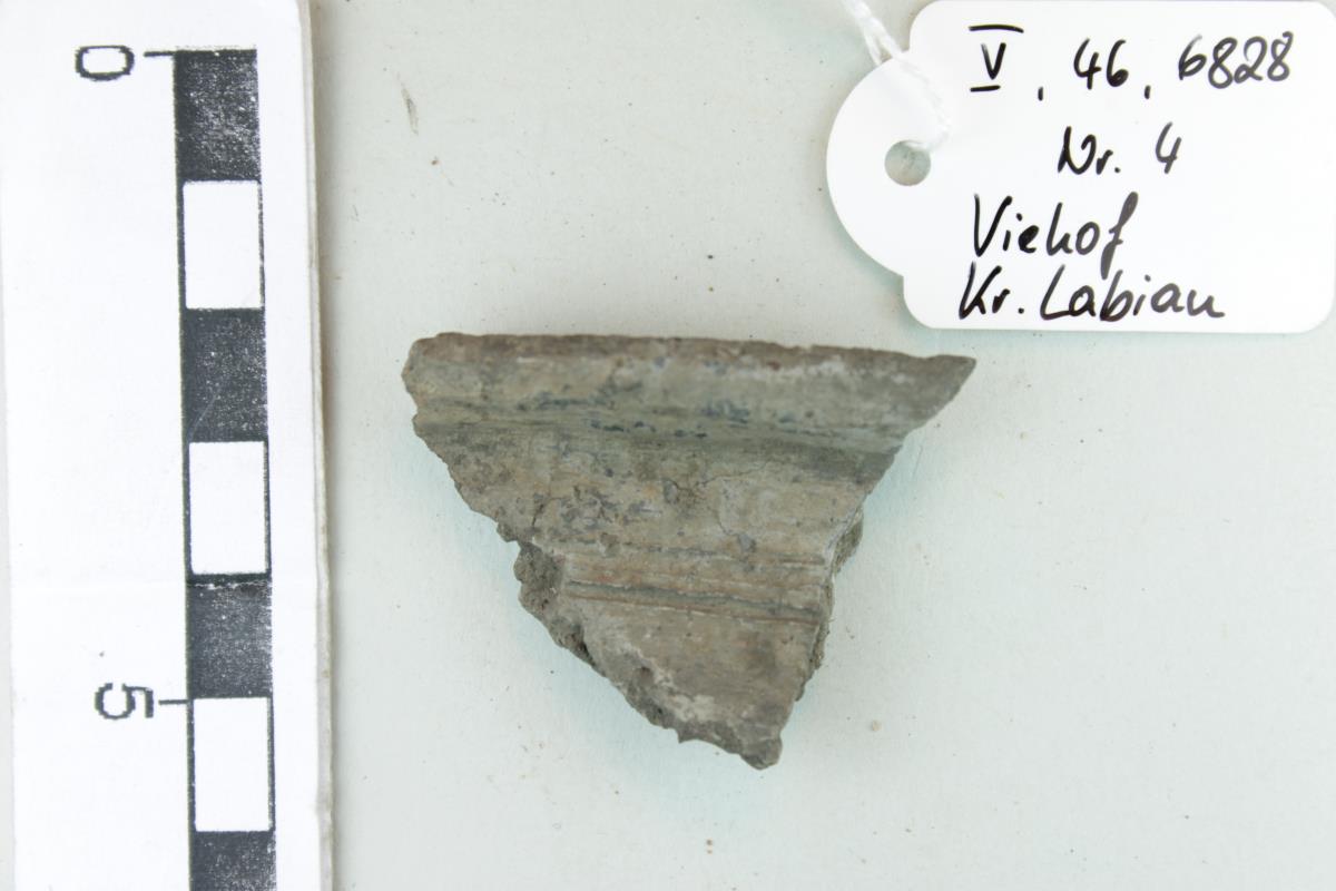 Gefäßfragment