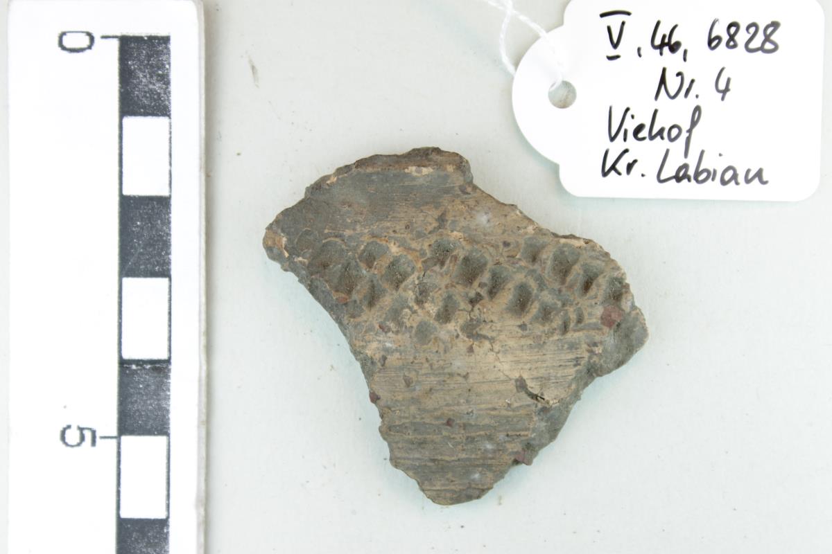 Gefäßfragment