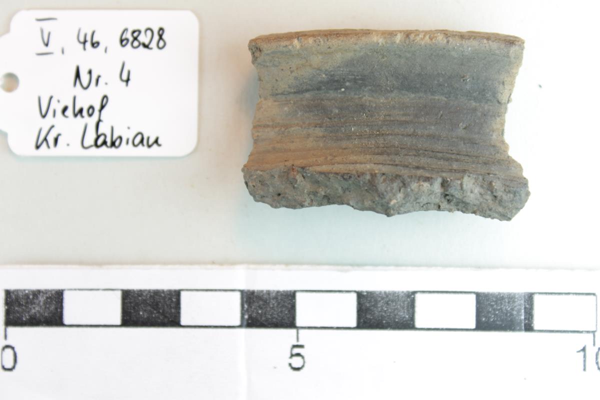 Gefäßfragment