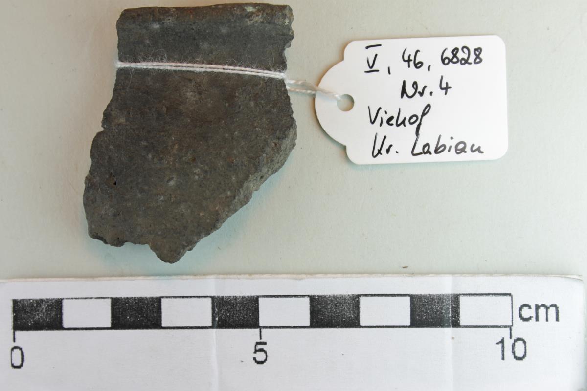 Gefäßfragment