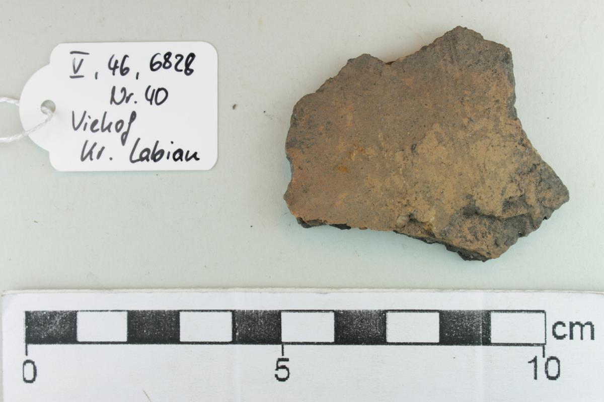 Gefäßfragment