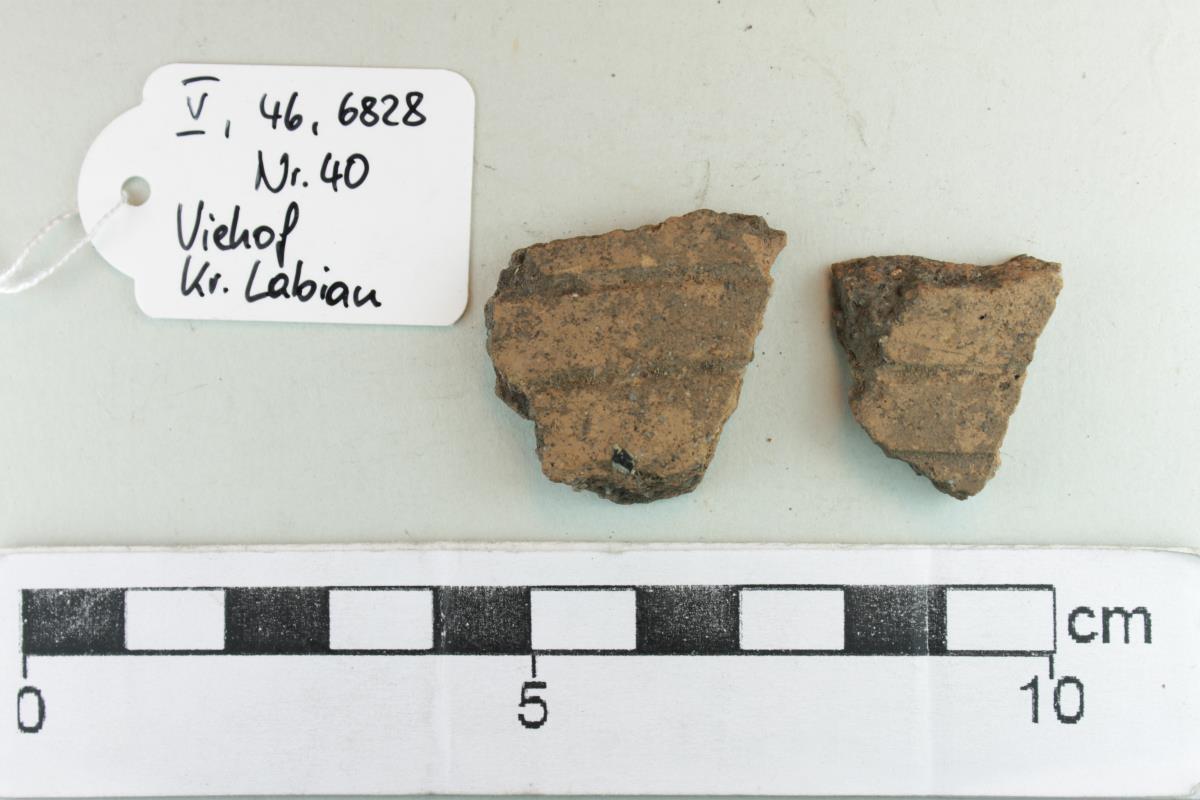 Gefäßfragment