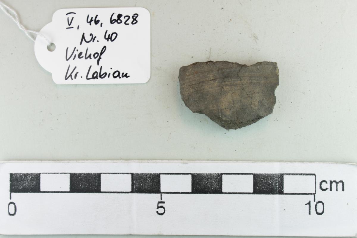 Gefäßfragment