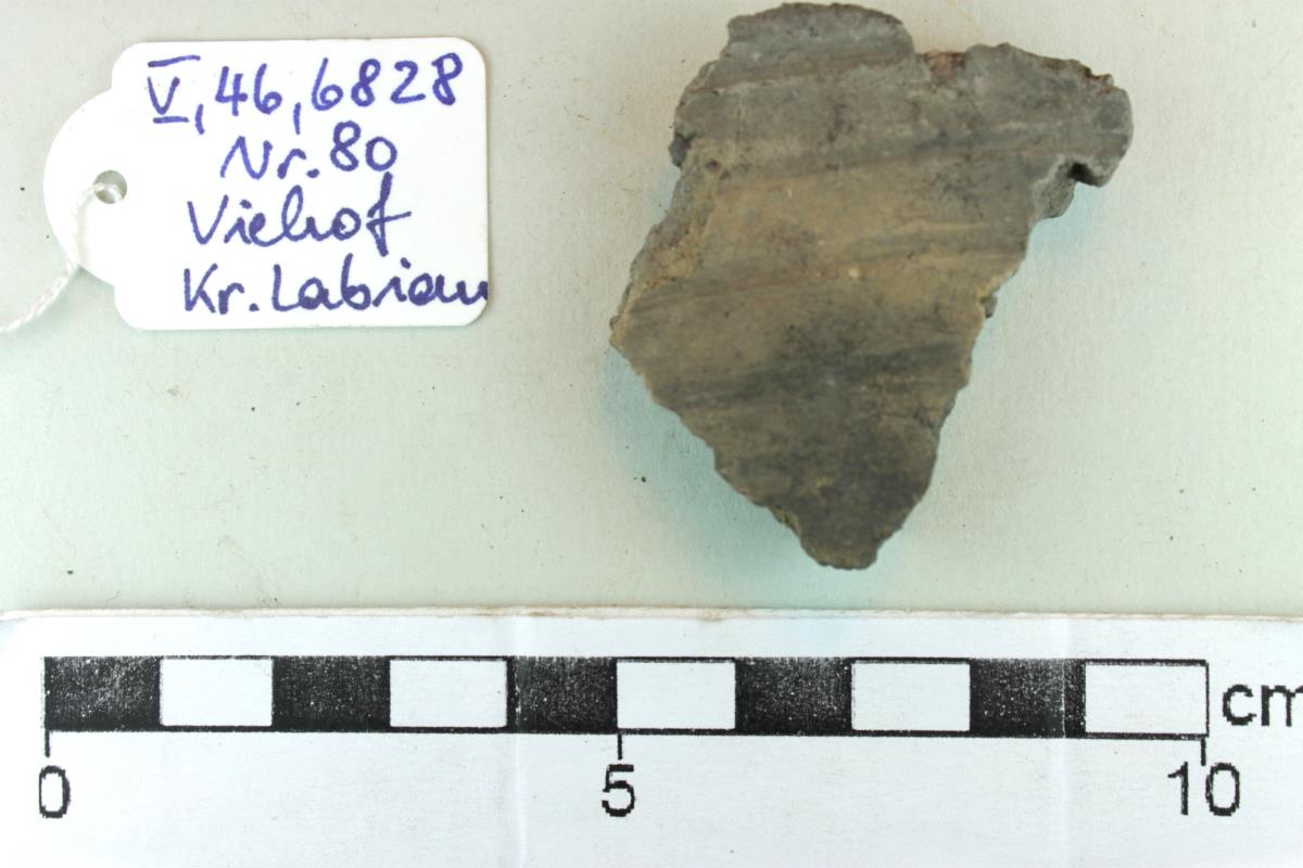 Gefäßfragment