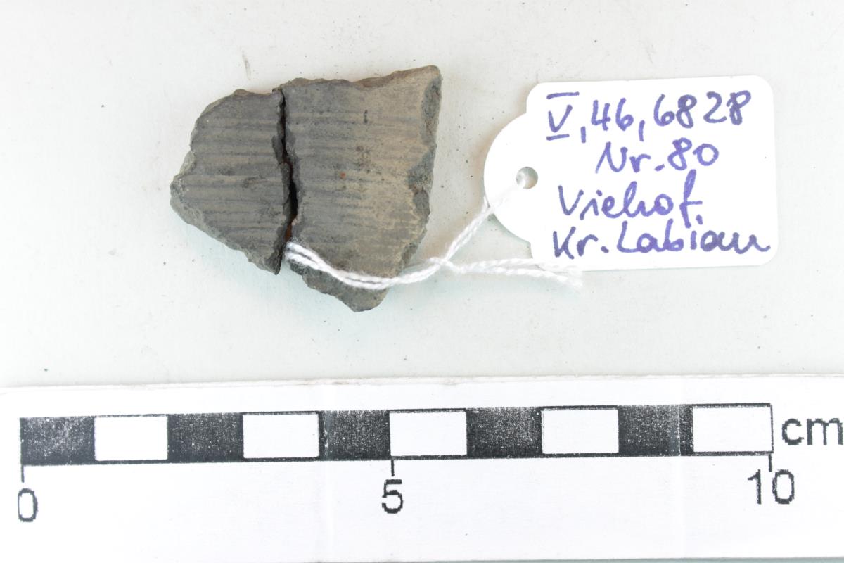 Gefäßfragment