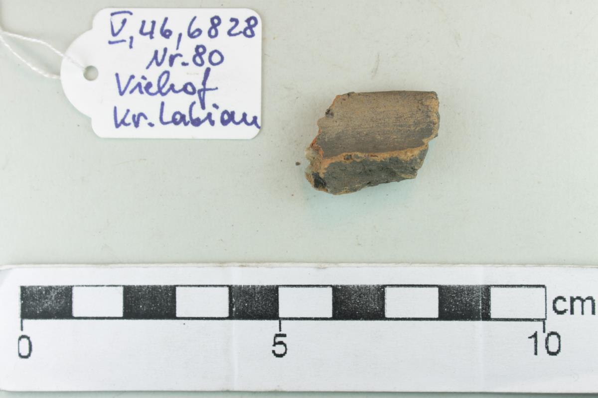 Gefäßfragment