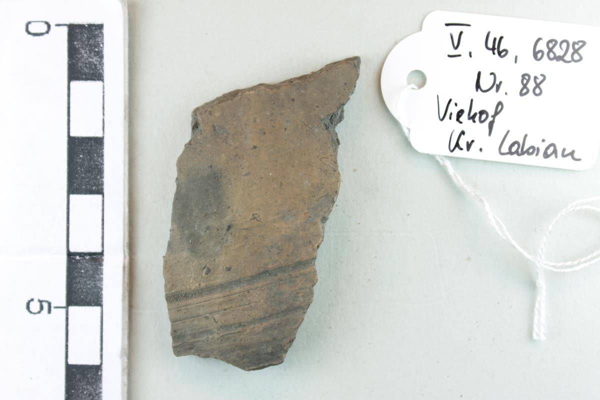 Gefäßfragment