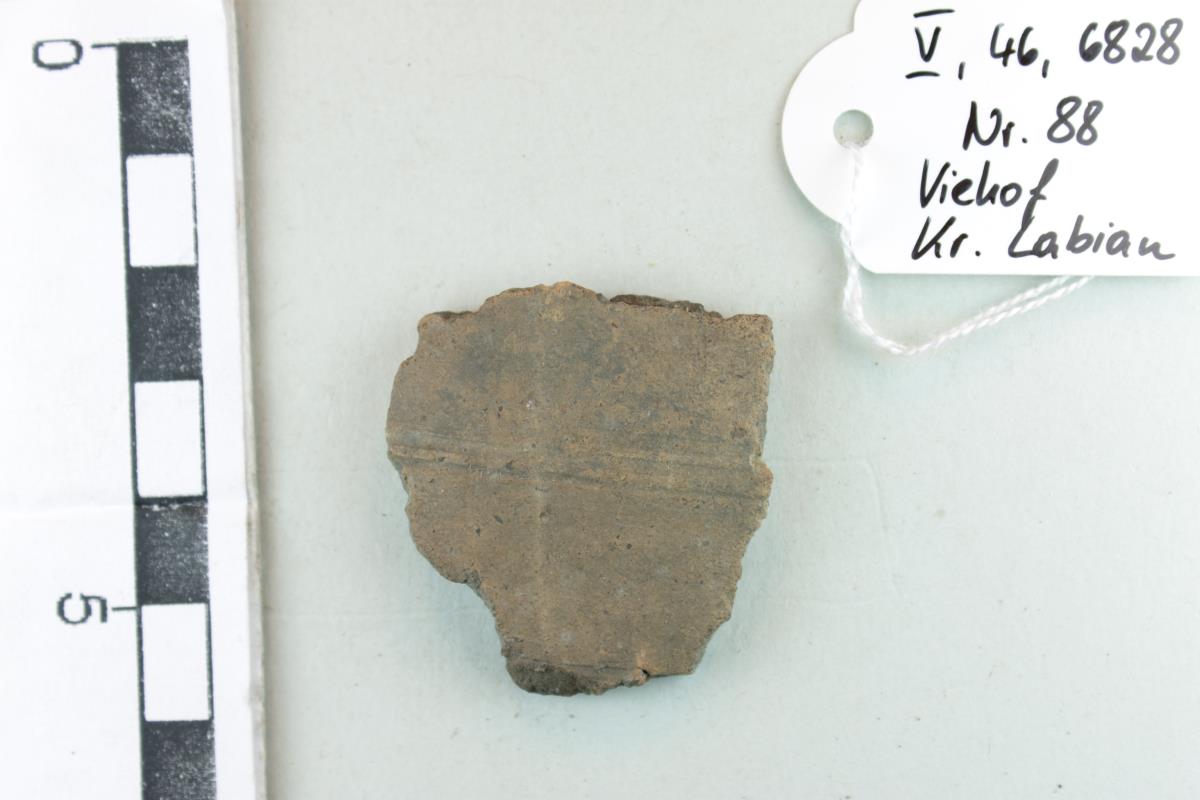 Gefäßfragment
