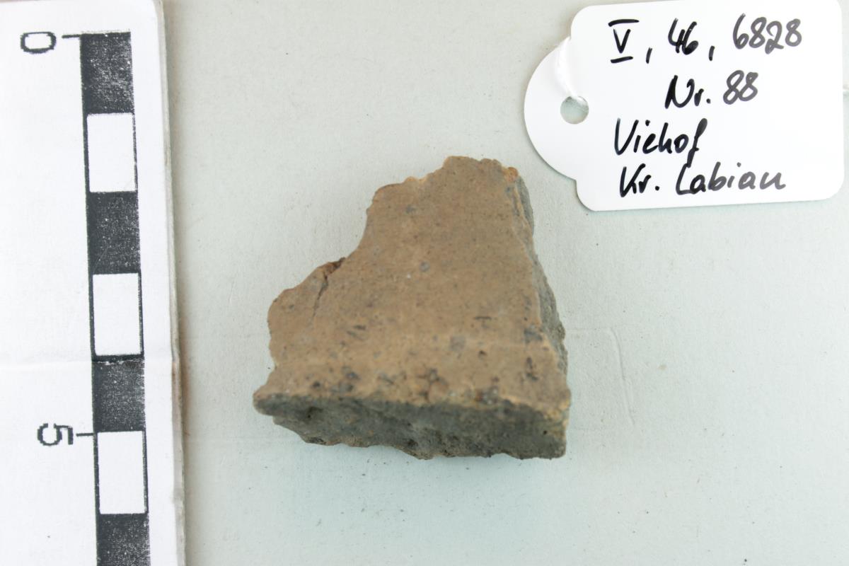 Gefäßfragment