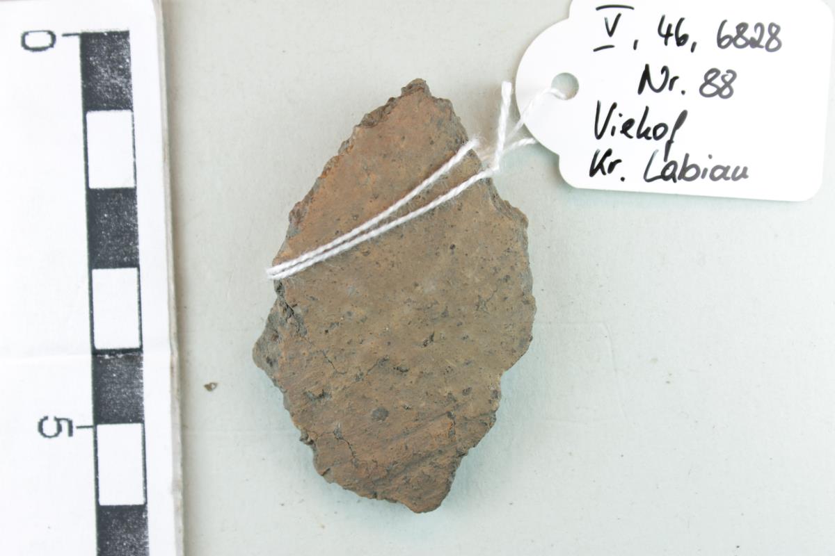 Gefäßfragment