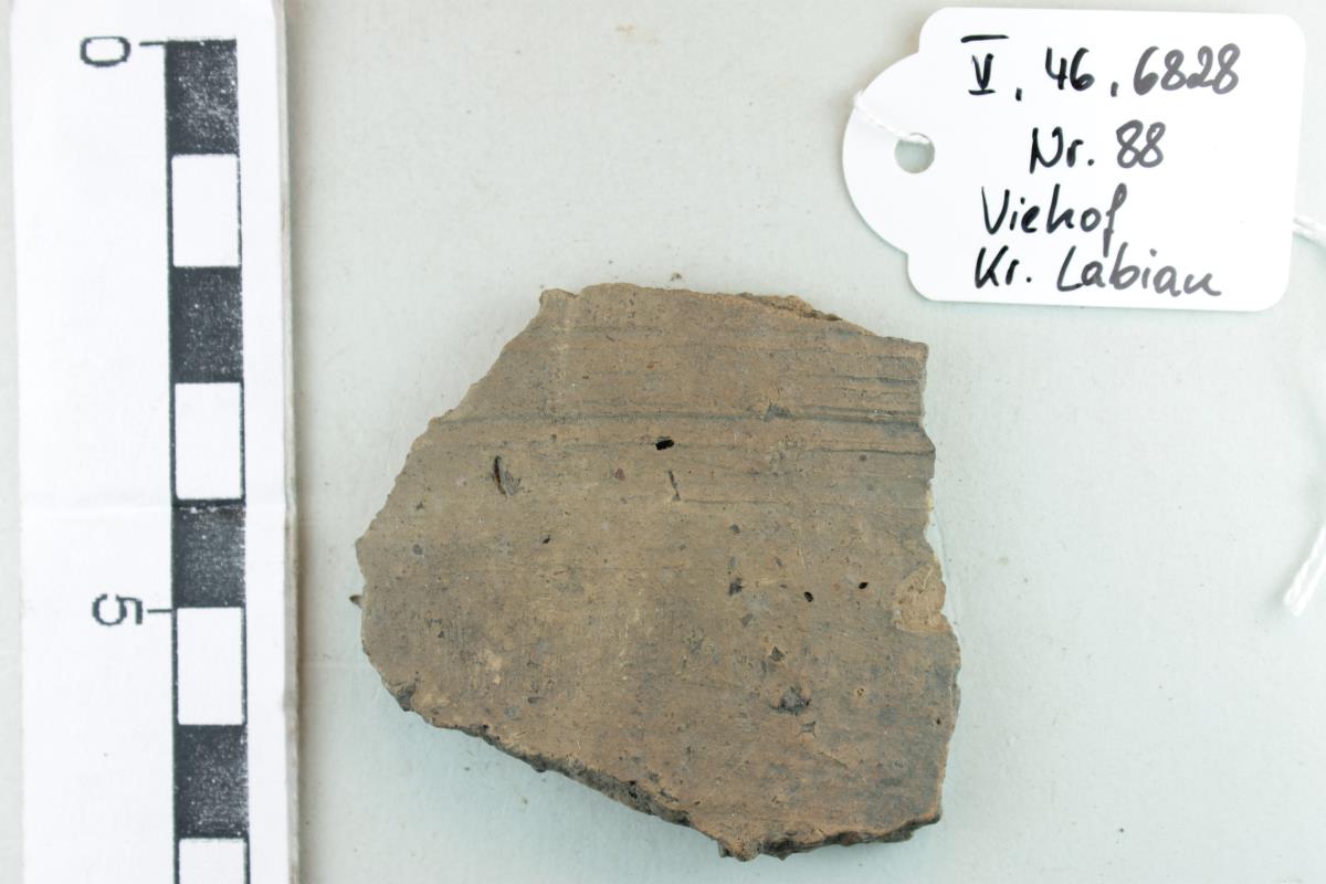 Gefäßfragment