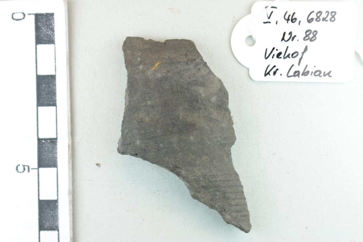 Gefäßfragment