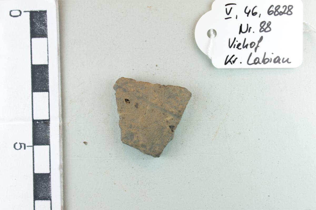 Gefäßfragment