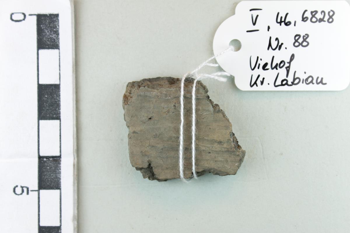 Gefäßfragment